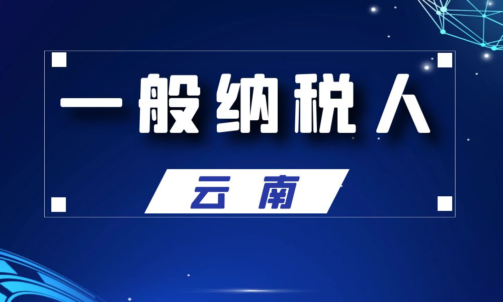 云南省一般纳税人公司名单工商名录_28557条-数据大集