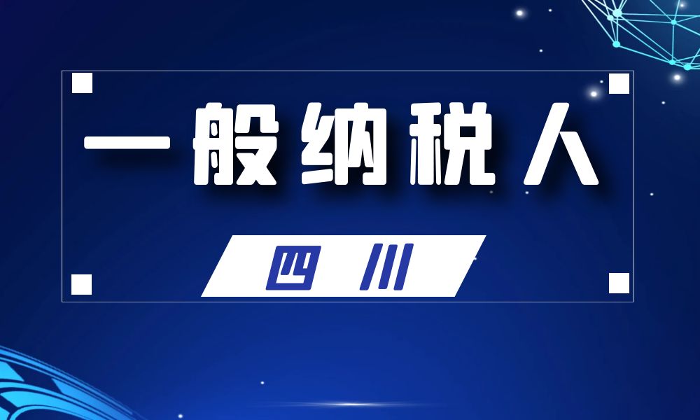 四川省一般纳税人公司名单工商名录_29864条-数据大集